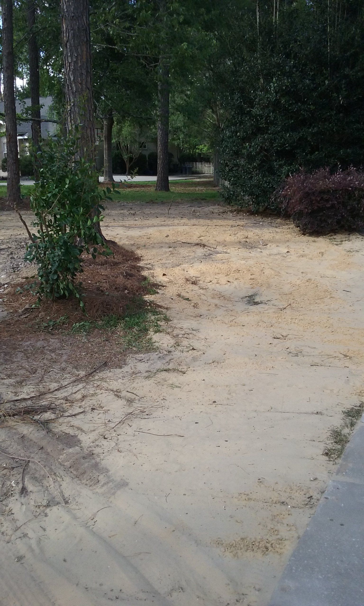 Septic Tank Services Gainesville & Alachua County, FL